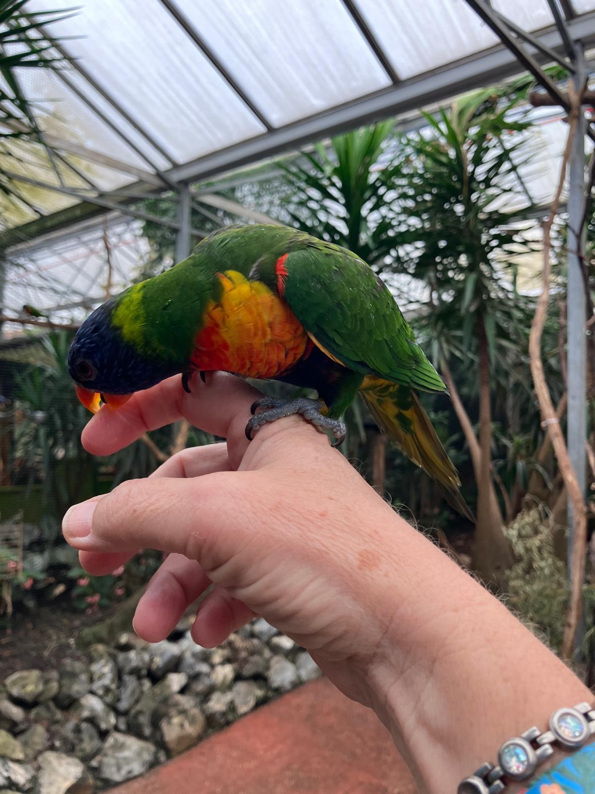 Foto 28 bij artikel "Uitje naar de Orchideenhoeve in Luttelgeest".